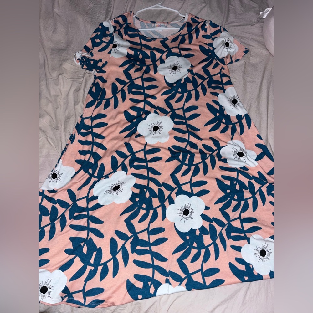 LuLaRoe Pink and Blue Floral Dress